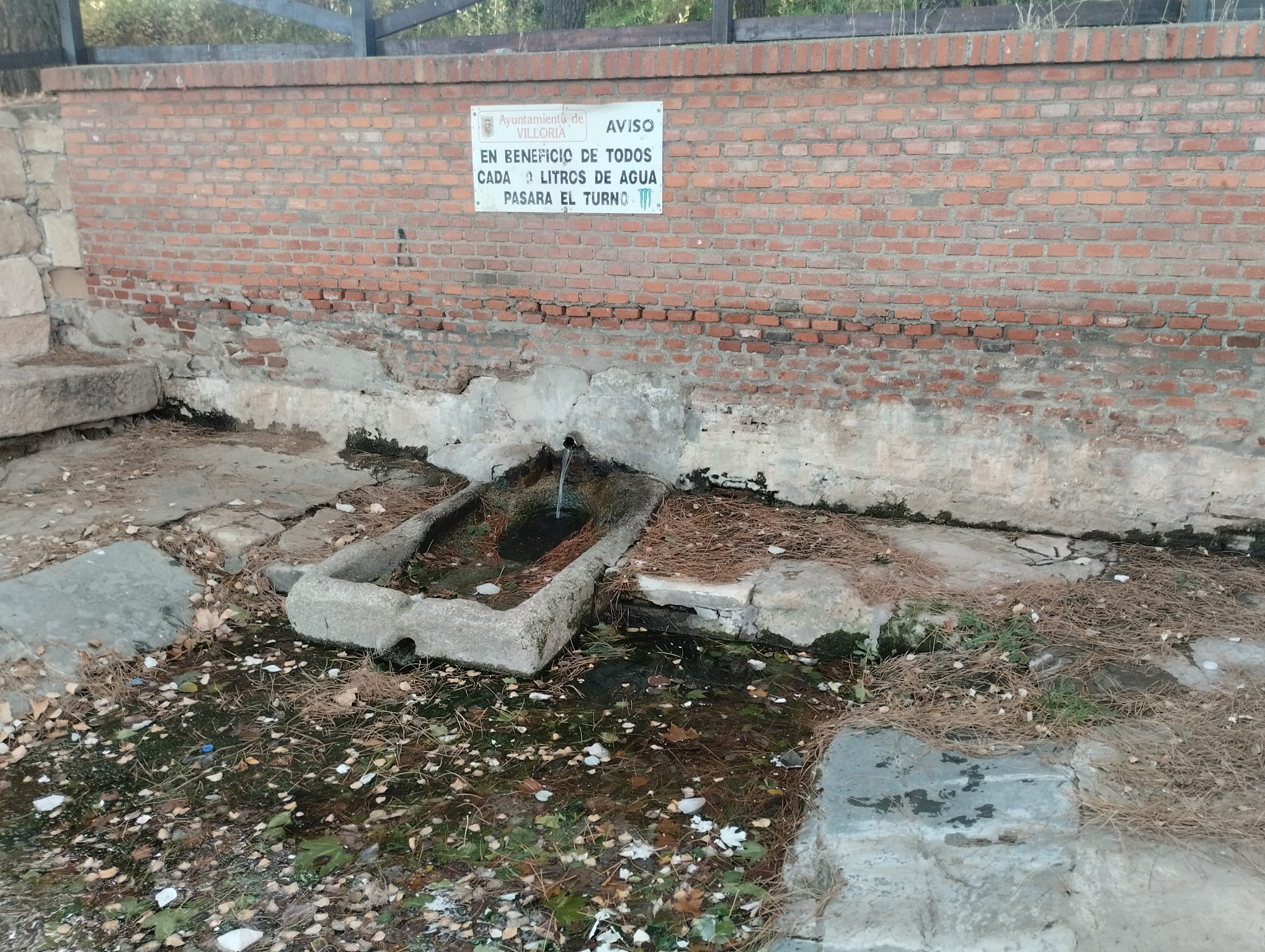 Galería de imágenes